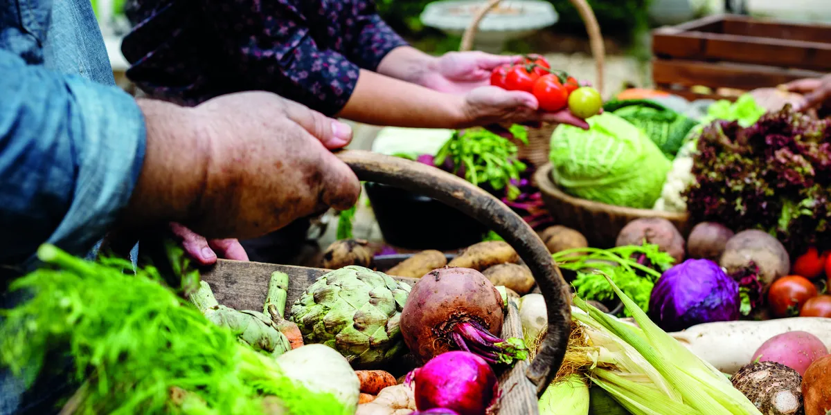 closeup-hands-holding-wooden-basket-with-fresh-organic-vegetable-inside